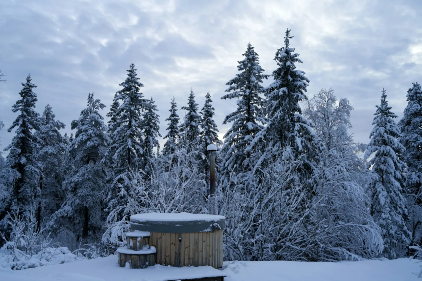 Abant Orman Bungalov — Abant Bungalov, fotoğraf 4