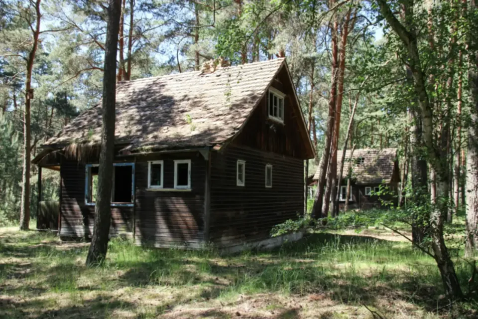 Abant Orman Bungalov — Abant Bungalov, fotoğraf 1