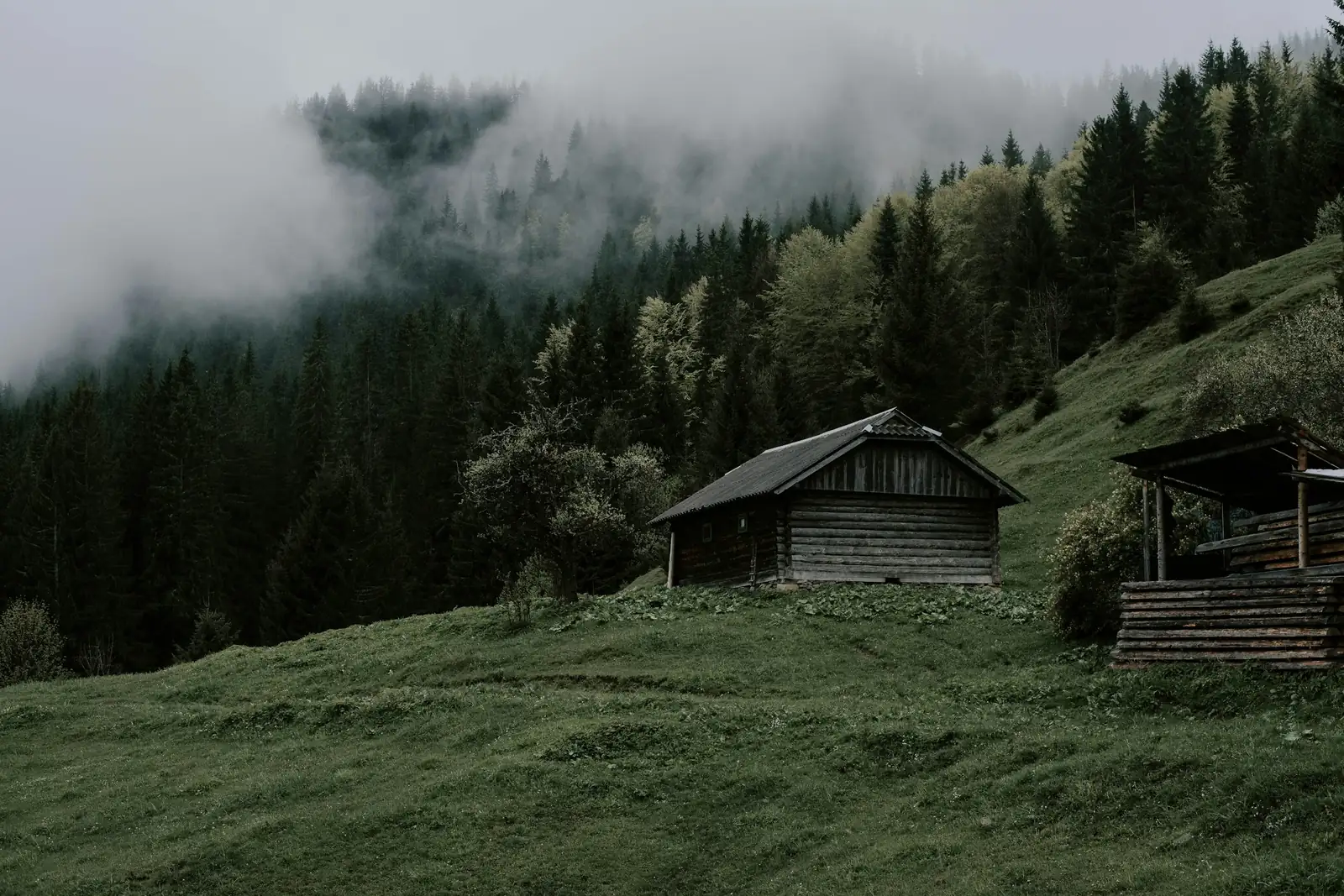 Ayder Yayla Evi (Küçük) — Ayder Dağ Evi, fotoğraf 1