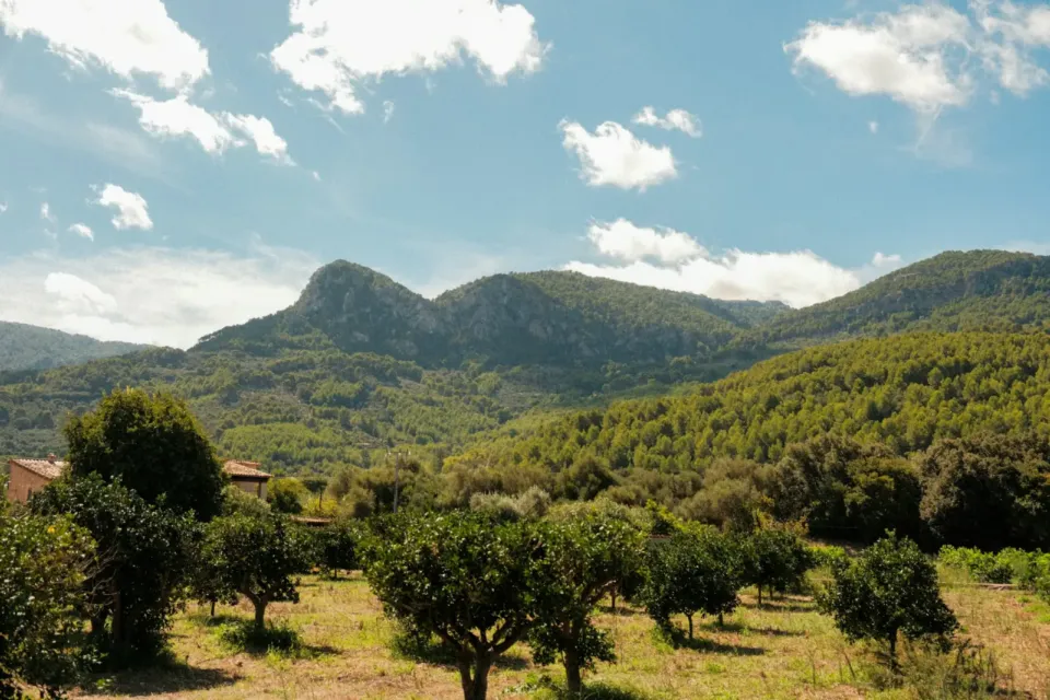Fethiye Bahçeli Tatil Evi — Fethiye Tatil Evi, fotoğraf 4