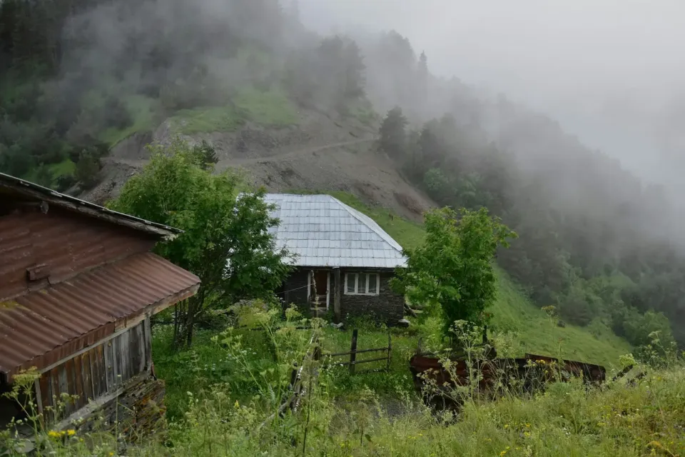 Fırtına Vadisi Bungalov — Ayder Bungalov, fotoğraf 1