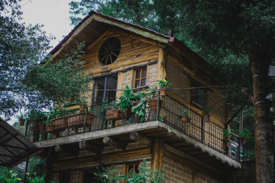 Sapanca Çam Evi — Sapanca Tatil Evi, fotoğraf 1