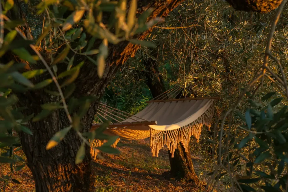 Sapanca Çam Evi — Sapanca Tatil Evi, fotoğraf 4