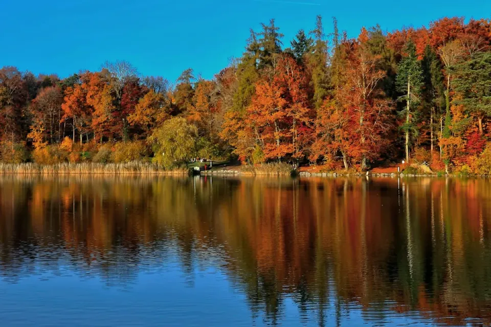 Bolu