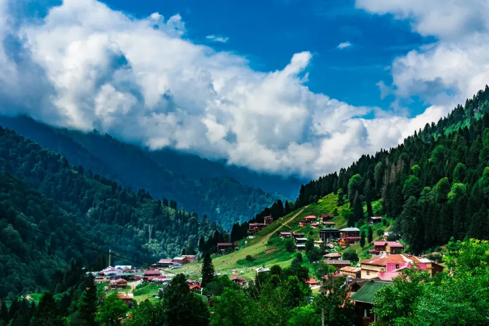 Rize